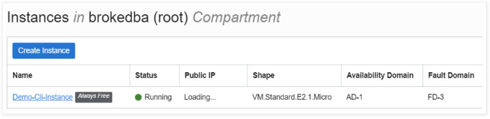 Launch an OCI Instance with OCI-CLI in 10 minutes