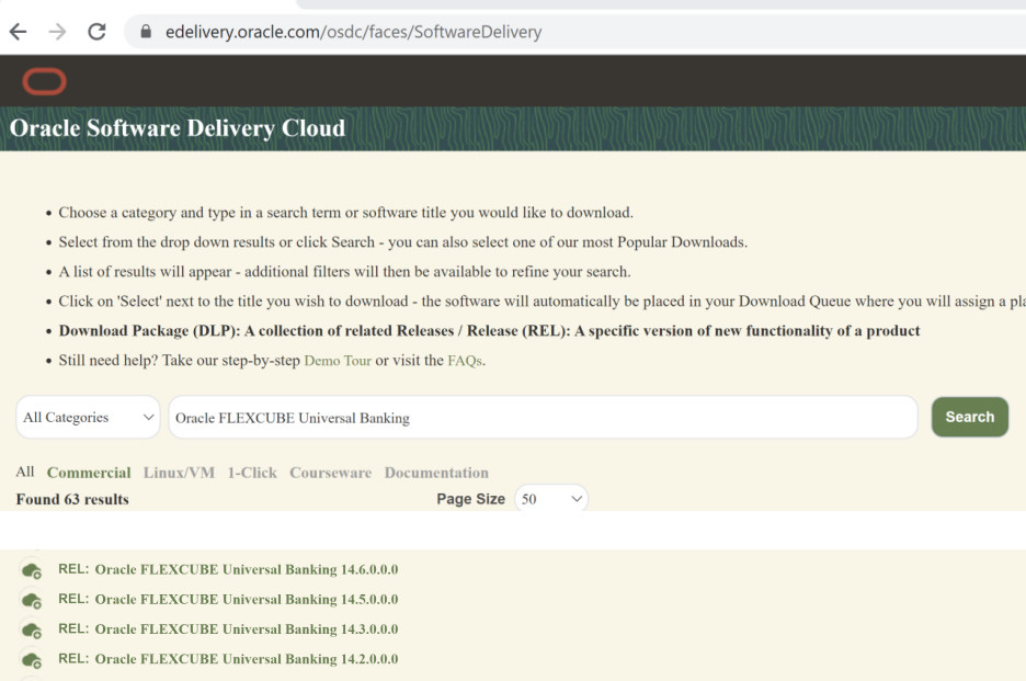 oracle software cloud delivery oracle software cloud delivery