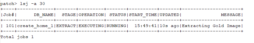 Oracle AutoUpgrade for Patching: Staying Ahead of CSPU and CPU Cycles