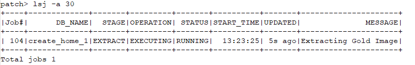 Oracle AutoUpgrade for Patching Staying Ahead of CSPU and CPU Cycles Image 5
