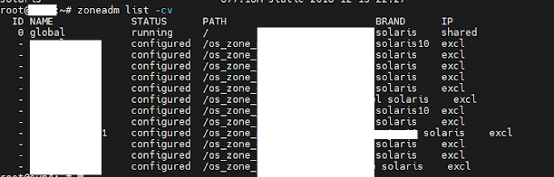 Pre-Upgrade Steps and Upgrading the Solaris Global Zone