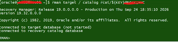 RMAN Point-in-Time Restore with Veeam Plug-in for Oracle RMAN on ExaCC Image 1