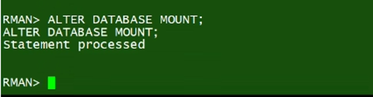 RMAN Point-in-Time Restore with Veeam Plug-in for Oracle RMAN on ExaCC
