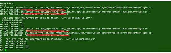 RMAN Point-in-Time Restore with Veeam Plug-in for Oracle RMAN on ExaCC Image 6