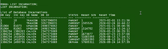 RMAN Point-in-Time Restore with Veeam Plug-in for Oracle RMAN on ExaCC