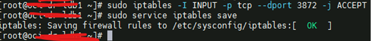 Troubleshooting OEM & Agent “No Route to Host” Errors on OCI