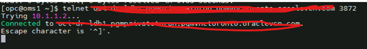 Troubleshooting OEM & Agent “No Route to Host” Errors on OCI