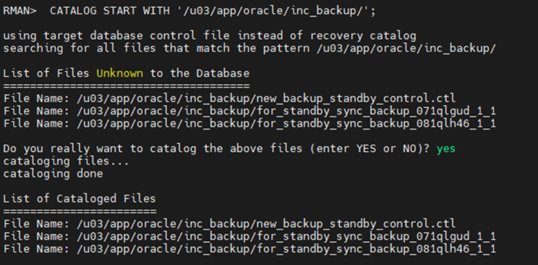How to Roll Forward a Standby Database Using RMAN Incremental Backup ...